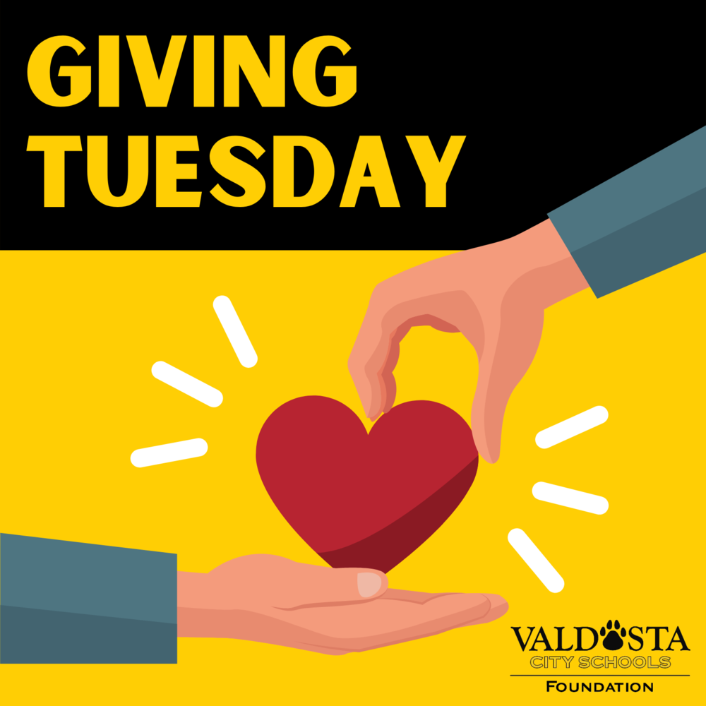 VCSF Giving Tuesday