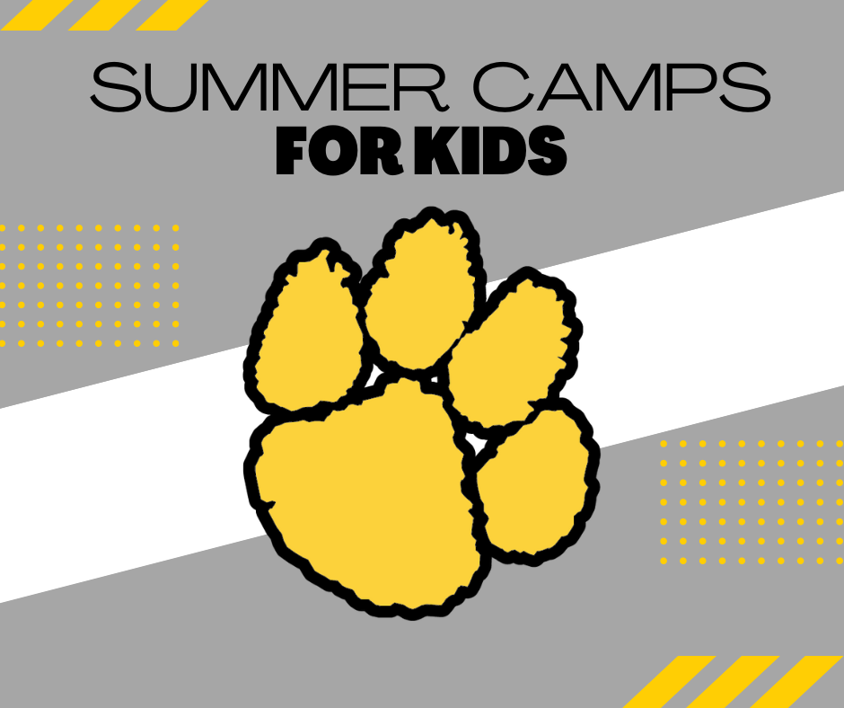 Summer Camps for Kids